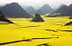 Огромные желтые поля рапса на фоне гор в Китае. - Olive Oil Times