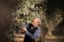 Man inspecting olive branches while harvesting olives from an olive tree. - Olive Oil Times