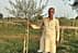 Uomo in abiti tradizionali in piedi accanto a un giovane ulivo in un campo. - Olive Oil Times