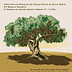 Event poster for Expo Huelma 2011 featuring a tree and event details. - Olive Oil Times