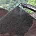 Conveyor belt transferring black soil to a pile in an outdoor setting. - Olive Oil Times