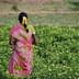 Woman wearing a colorful traditional sari walking through a green field of plants. - Olive Oil Times