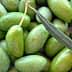 A close-up view of green Lucques olives with leaves on a surface. - Olive Oil Times