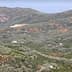 Expansive view of olive groves and hills in the landscape of Crete. - Olive Oil Times