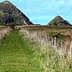 A grassy pathway bordered by fences leading towards two hills in Otago, New Zealand. - Olive Oil Times