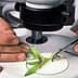 Scientist using tweezers to examine a small plant sample under a microscope. - Olive Oil Times