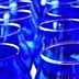 Row of blue tasting glasses arranged closely together, showcasing their transparent design. - Olive Oil Times