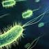 Microscopic illustration of bacteria with flagella and hair-like structures in green color. - Olive Oil Times
