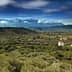 A scenic view of an olive grove landscape in Crete with mountains in the background. - Olive Oil Times