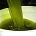 Green olive oil being poured from a container into a white bowl. - Olive Oil Times