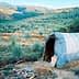 A plastic-covered structure in an olive grove surrounded by trees and hills. - Olive Oil Times