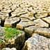 Dry, cracked earth surface with small patches of green grass emerging between the cracks. - Olive Oil Times