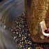 Close-up view of olives being processed in an olive mill with a rotating mechanism. - Olive Oil Times