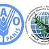 Logos of the Food and Agriculture Organization and the International Olive Council. - Olive Oil Times