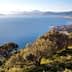A panoramic view of the coastline in Sicily, featuring water, hills, and vegetation. - Olive Oil Times