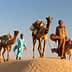 Two men walking alongside camels in a desert environment, with saddles and bags on the camels' backs. - Olive Oil Times