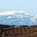 Snow-covered mountain range visible above agricultural fields in the foreground. - Olive Oil Times