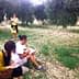Two individuals sitting and sketching in an olive grove while a third person stands and observes. - Olive Oil Times