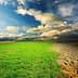 A split image showing vibrant green grass on one side and dry, cracked soil on the other side under a cloudy sky. - Olive Oil Times