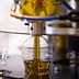 Machine filling a plastic bottle with olive oil during the bottling process. - Olive Oil Times