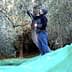 Individual using a pole to harvest olives from an olive tree while standing on a green tarp. - Olive Oil Times