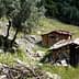 Two stone houses with wooden roofs situated in a grassy area with olive trees and rocks. - Olive Oil Times