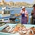 Woman and man at a fish market in Marseille with a large display of fresh fish. - Olive Oil Times