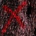 Close-up view of tree bark featuring red markings and natural texture. - Olive Oil Times