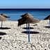 Several straw beach umbrellas with blue poles set up on a sandy beach near the ocean. - Olive Oil Times