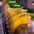 Row of glass bottles filled with olive oil on a production line with green caps. - Olive Oil Times