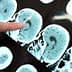 A hand pointing at a series of brain scans displayed on a screen. - Olive Oil Times