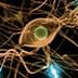 Illustration of neurons with interconnected axons and synapses in a neural network. - Olive Oil Times