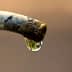 Close-up of a water droplet hanging from the tip of a faucet spout. - Olive Oil Times