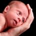 A newborn baby resting on an adult's hand with a neutral expression and wide-open eyes. - Olive Oil Times