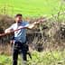 Man using a long pole to prune olive trees in a field. - Olive Oil Times