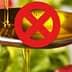Spoon pouring olive oil with a red prohibition symbol overlaying the image. - Olive Oil Times