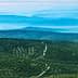 Expansive landscape of olive groves with rolling hills and distant mountains. - Olive Oil Times