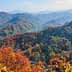 Vibrant autumn landscape featuring mountains and colorful foliage in various shades of red, orange, and yellow. - Olive Oil Times