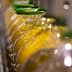 Row of glass bottles filled with olive oil on a production line with green caps. - Olive Oil Times