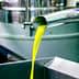 Fresh olive oil being extracted from a machine in a processing facility. - Olive Oil Times