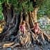 Two children sitting on the roots of a large olive tree, interacting with each other. - Olive Oil Times