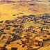 Aerial view of a patchwork of agricultural fields in a desert landscape with a river running through. - Olive Oil Times