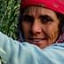 Woman wearing a pink headscarf and sweater harvesting olives from a tree. - Olive Oil Times