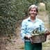 Woman standing in an olive grove, holding a woven basket filled with olives. - Olive Oil Times