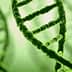 Close-up view of a green DNA double helix structure with a blurred background. - Olive Oil Times