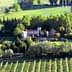 Aerial view of a vineyard with a large estate surrounded by trees and greenery. - Olive Oil Times