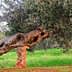An olive tree with a gnarled trunk leaning over a stone in a grassy area. - Olive Oil Times