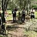 A group of people gathered in an olive grove, some standing and others engaged in discussion. - Olive Oil Times