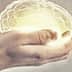 Two hands holding a glowing representation of a brain with a light effect. - Olive Oil Times