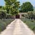 Gravel pathway lined with olive trees and lavender plants leading to a wooden gate. - Olive Oil Times